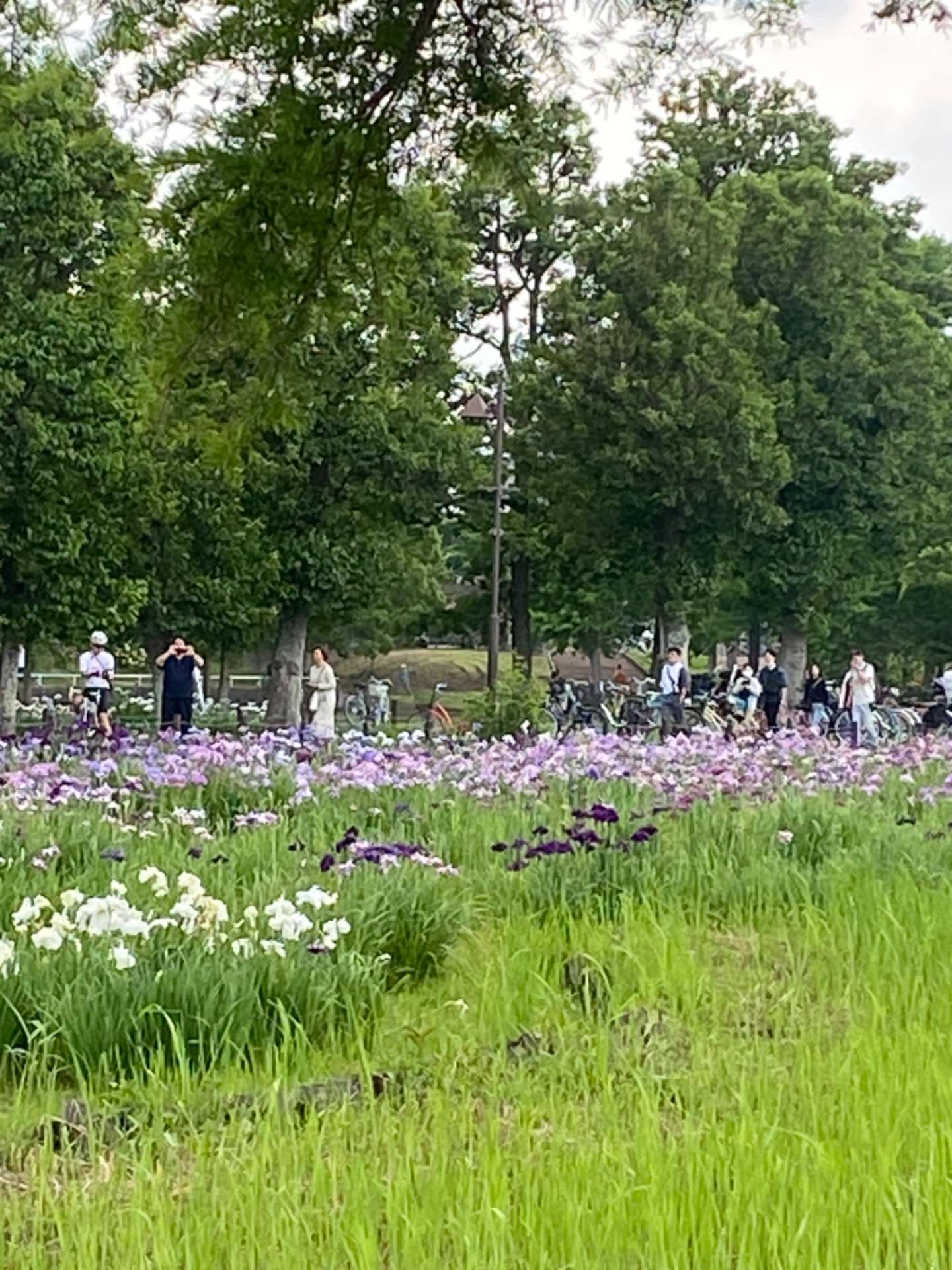 6月16日　千住葡萄酒